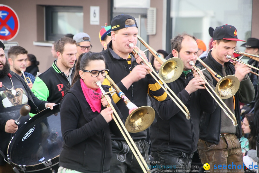 Narrenumzug: Friedrichshafen am Bodensee, 25.02.2017