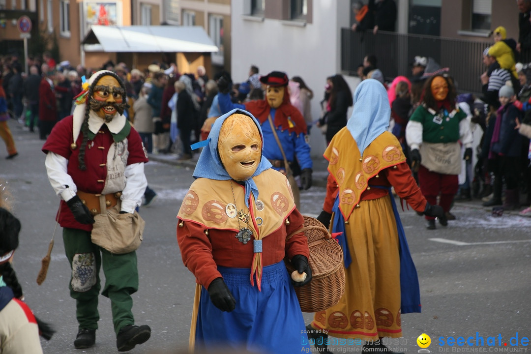 Narrenumzug: Friedrichshafen am Bodensee, 25.02.2017