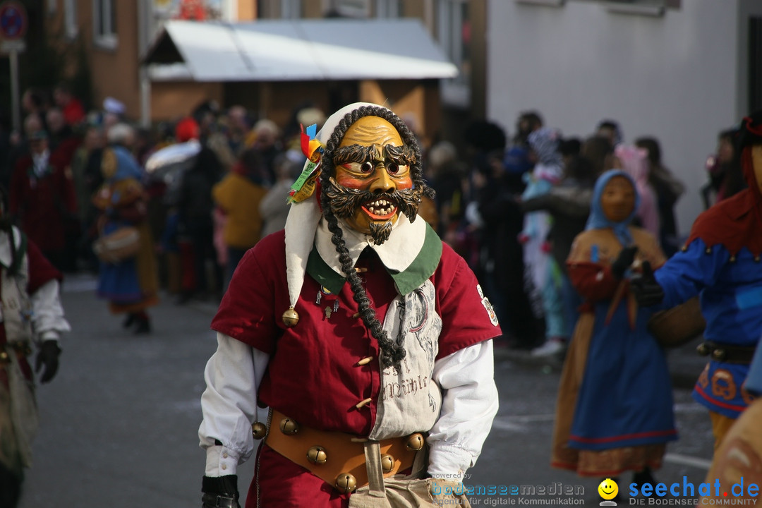 Narrenumzug: Friedrichshafen am Bodensee, 25.02.2017