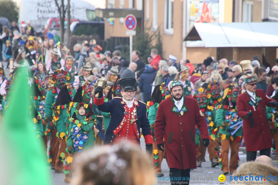 Narrenumzug: Friedrichshafen am Bodensee, 25.02.2017