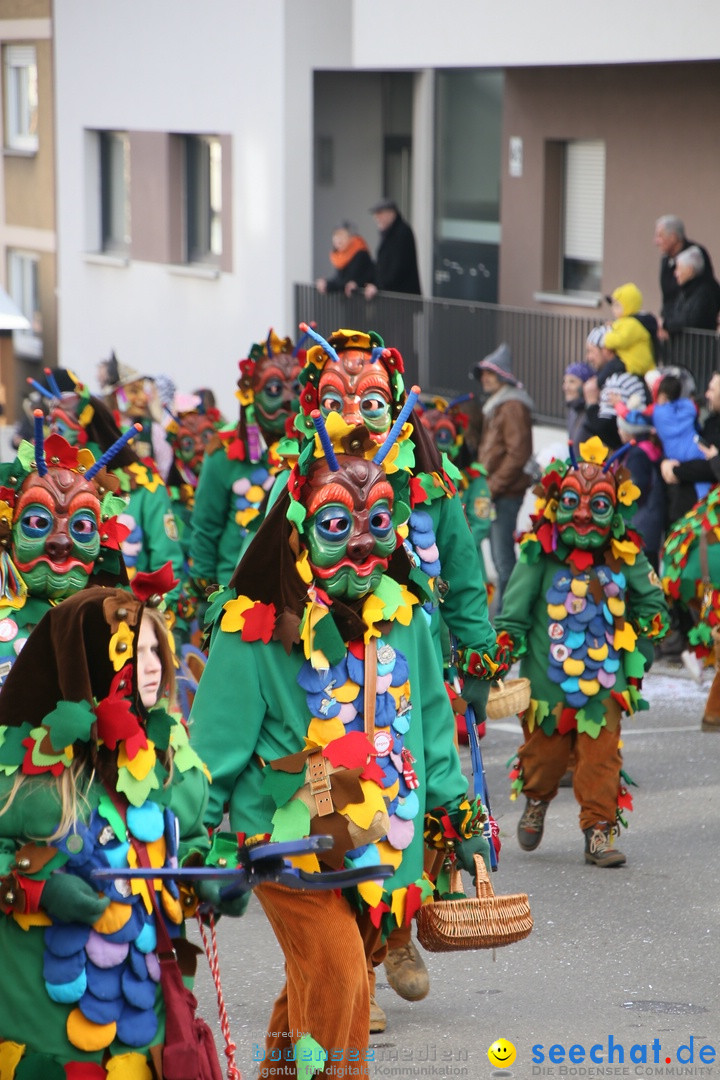 Narrenumzug: Friedrichshafen am Bodensee, 25.02.2017