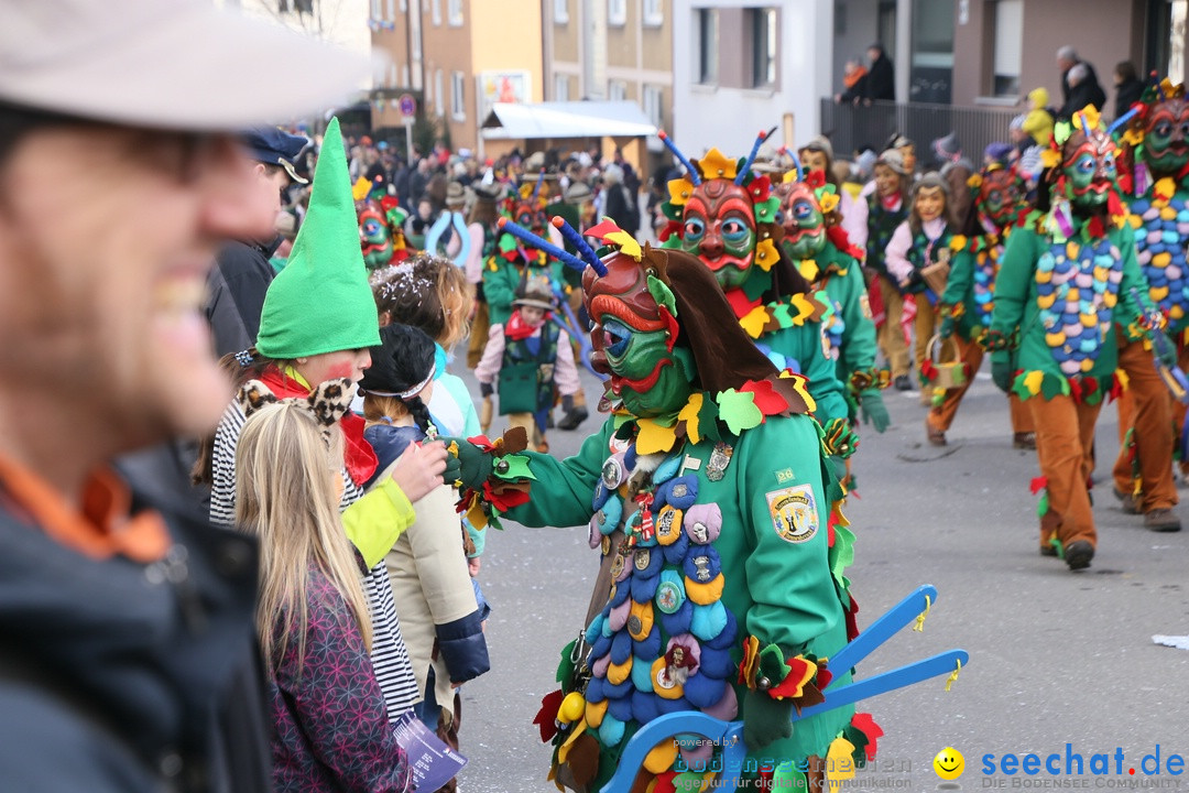 Narrenumzug: Friedrichshafen am Bodensee, 25.02.2017