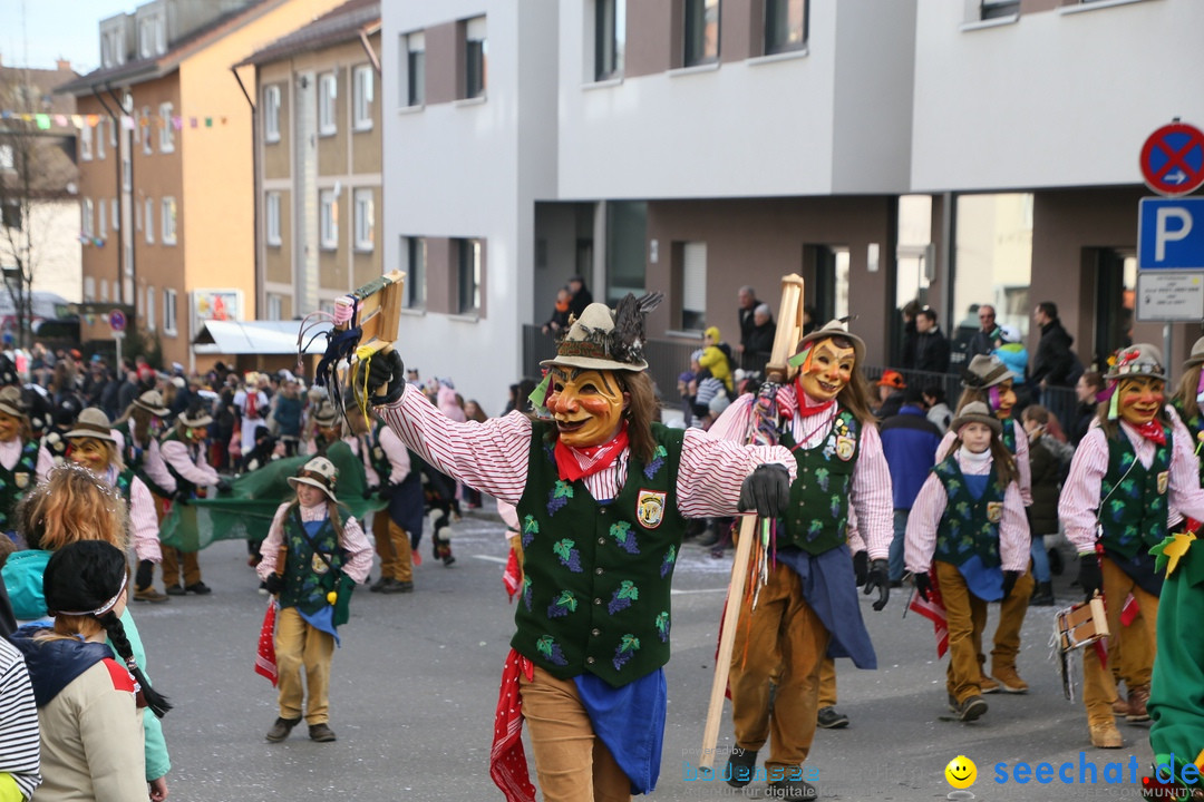 Narrenumzug: Friedrichshafen am Bodensee, 25.02.2017