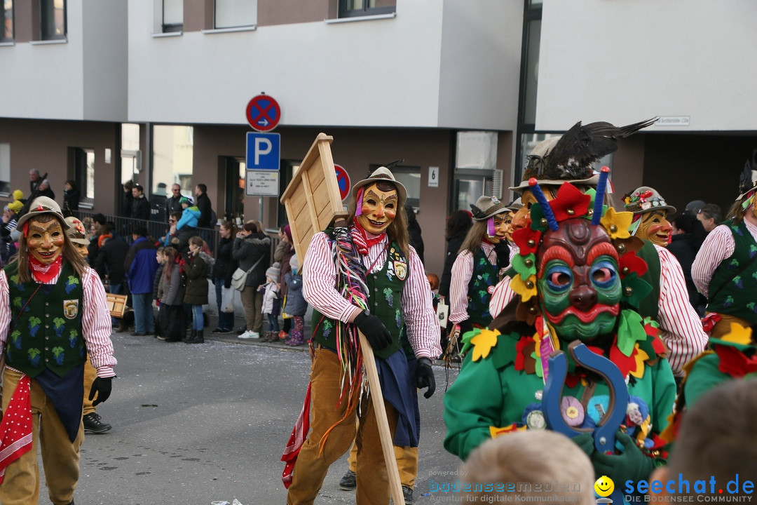 Narrenumzug: Friedrichshafen am Bodensee, 25.02.2017