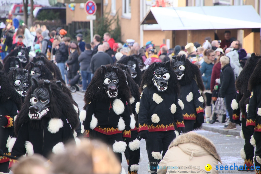 Narrenumzug: Friedrichshafen am Bodensee, 25.02.2017