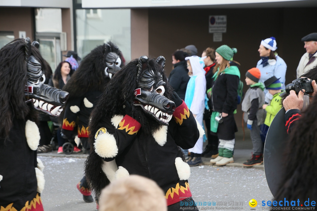 Narrenumzug: Friedrichshafen am Bodensee, 25.02.2017