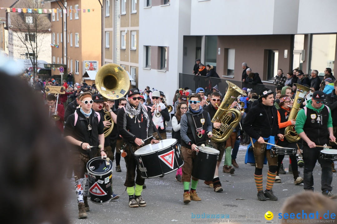 Narrenumzug: Friedrichshafen am Bodensee, 25.02.2017