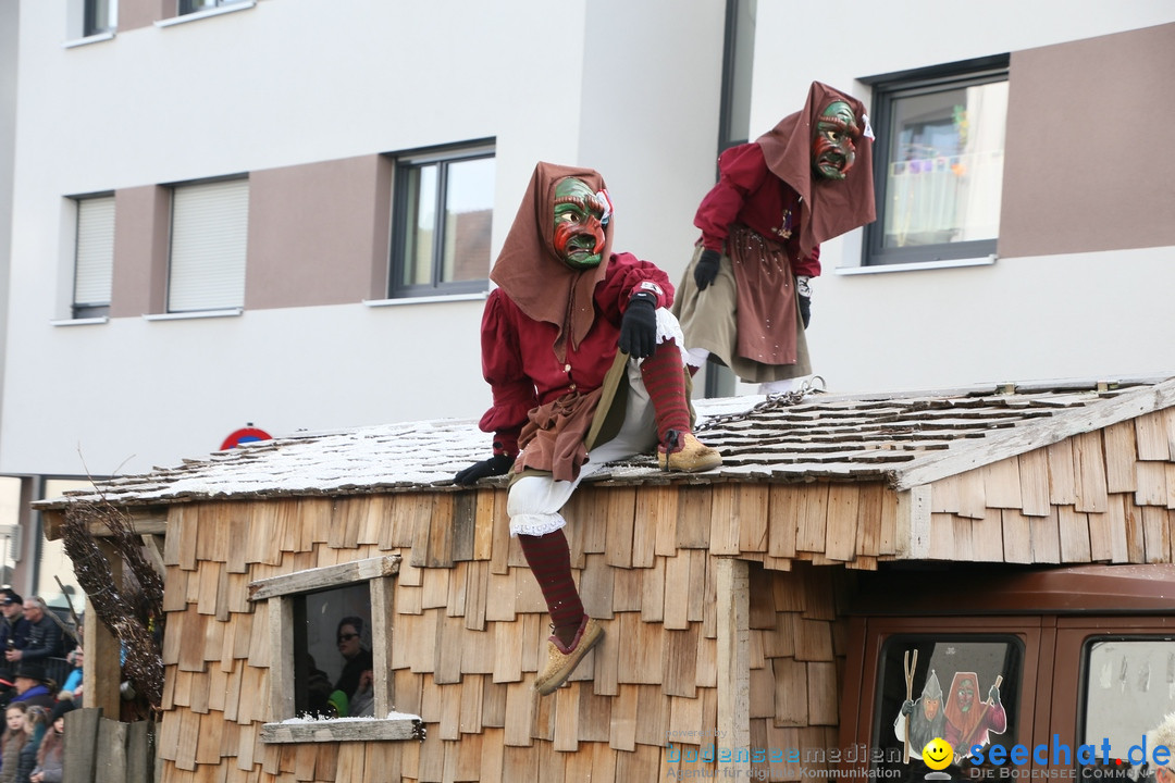 Narrenumzug: Friedrichshafen am Bodensee, 25.02.2017