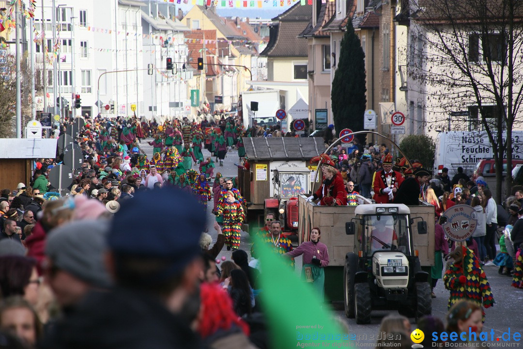 Narrenumzug: Friedrichshafen am Bodensee, 25.02.2017