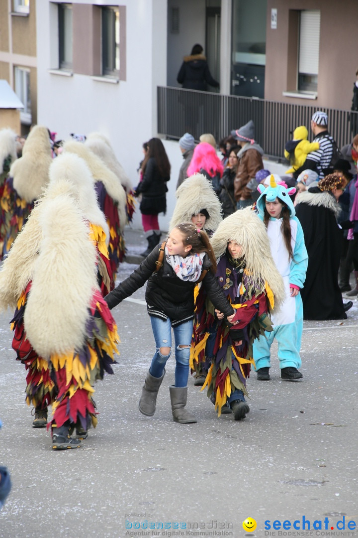 Narrenumzug: Friedrichshafen am Bodensee, 25.02.2017