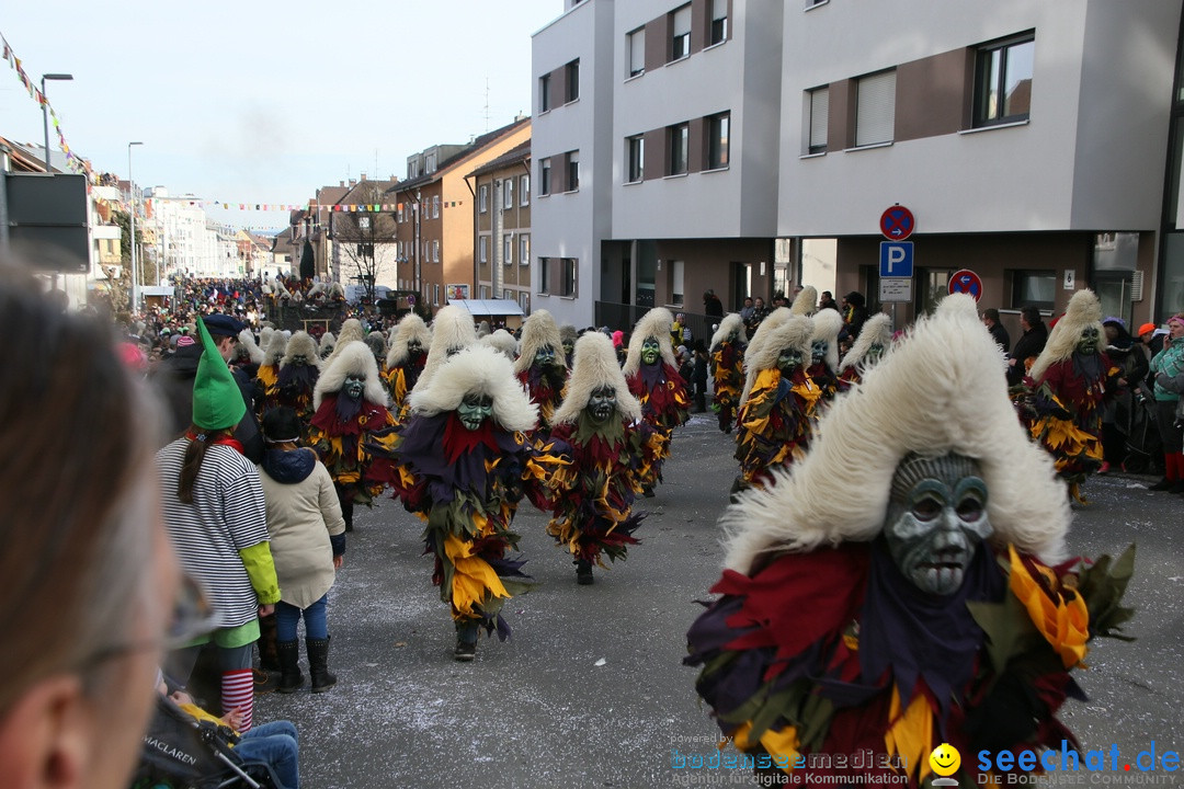 Narrenumzug: Friedrichshafen am Bodensee, 25.02.2017