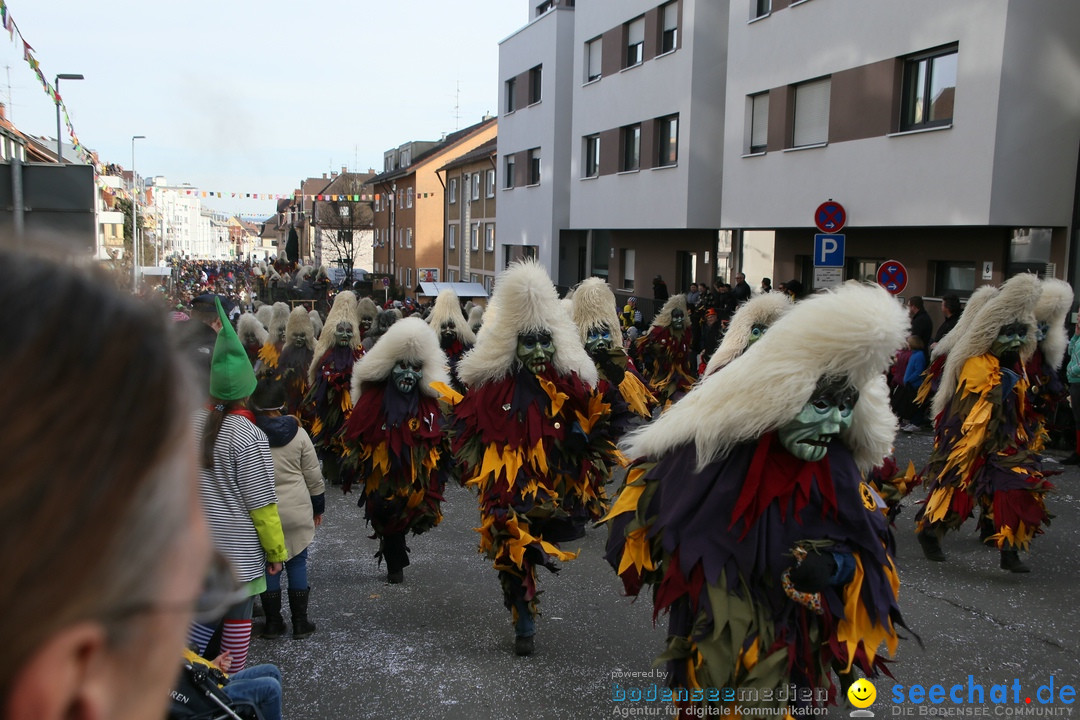 Narrenumzug: Friedrichshafen am Bodensee, 25.02.2017