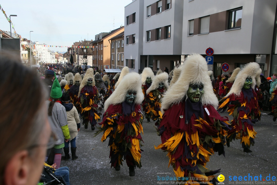 Narrenumzug: Friedrichshafen am Bodensee, 25.02.2017