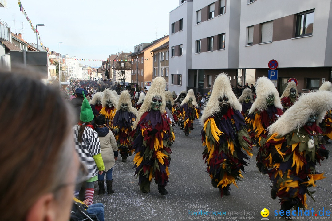 Narrenumzug: Friedrichshafen am Bodensee, 25.02.2017