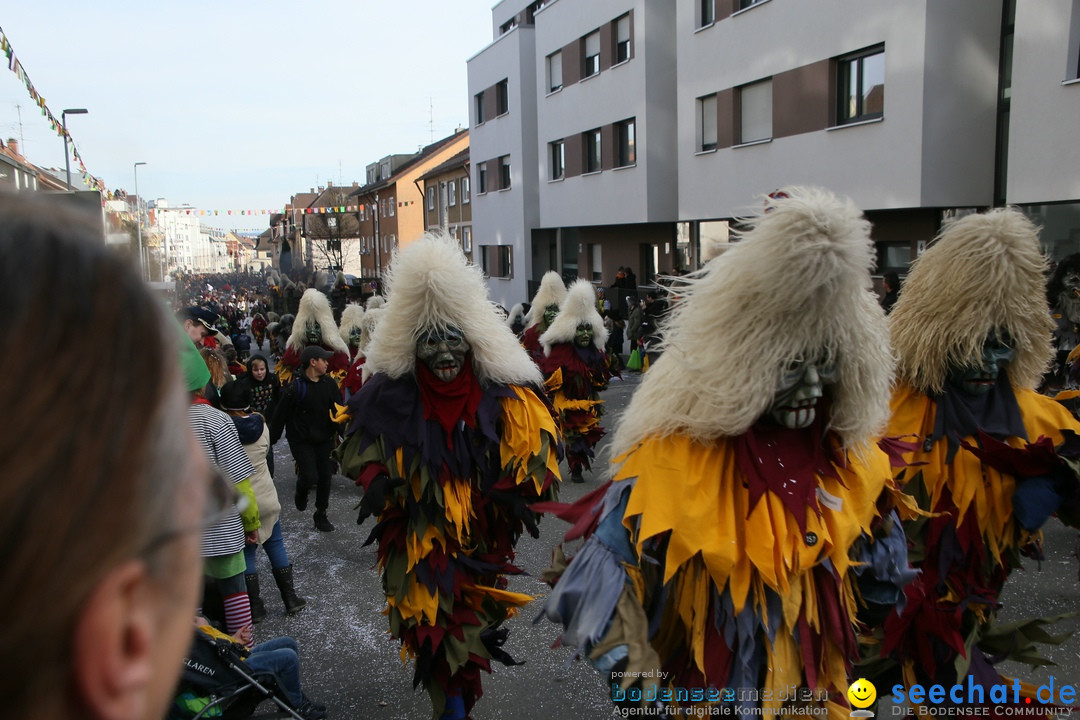 Narrenumzug: Friedrichshafen am Bodensee, 25.02.2017