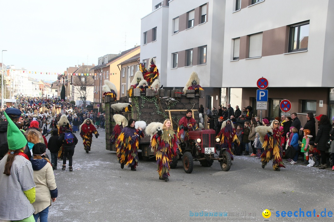 Narrenumzug: Friedrichshafen am Bodensee, 25.02.2017