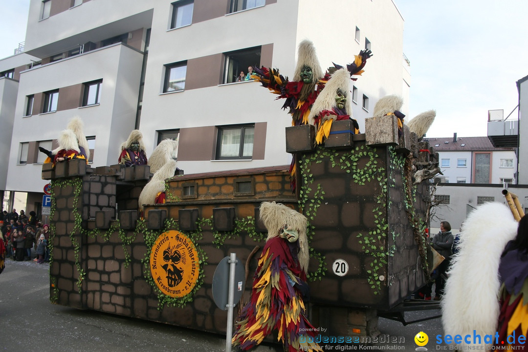 Narrenumzug: Friedrichshafen am Bodensee, 25.02.2017