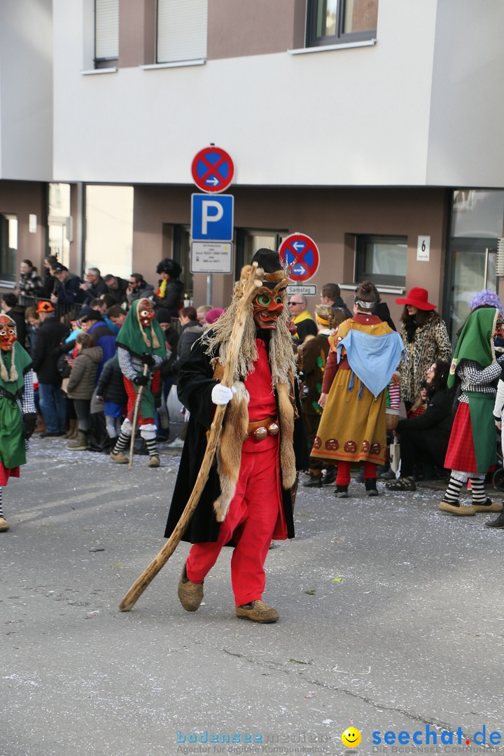 Narrenumzug: Friedrichshafen am Bodensee, 25.02.2017