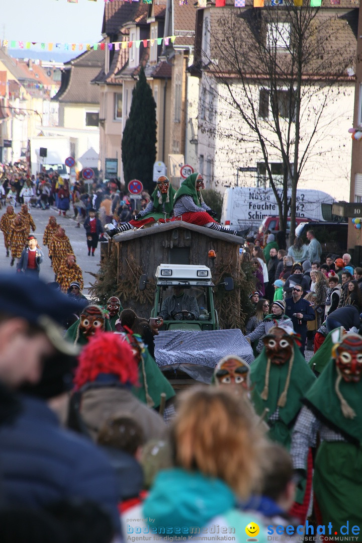 Narrenumzug: Friedrichshafen am Bodensee, 25.02.2017