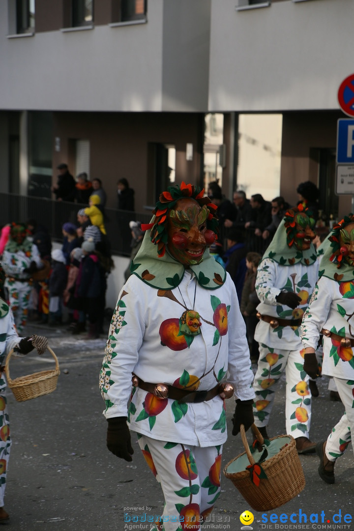 Narrenumzug: Friedrichshafen am Bodensee, 25.02.2017