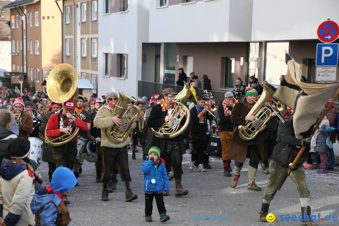 Narrenumzug: Friedrichshafen am Bodensee, 25.02.2017