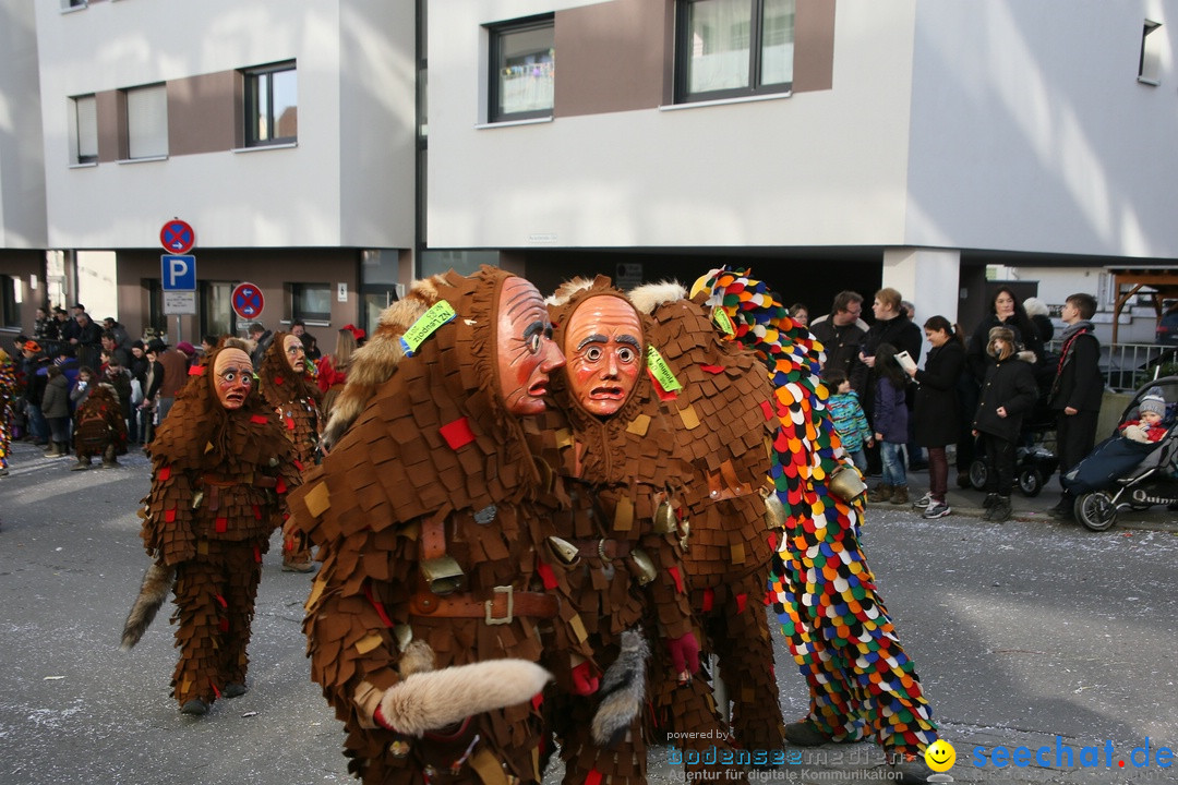 Narrenumzug: Friedrichshafen am Bodensee, 25.02.2017