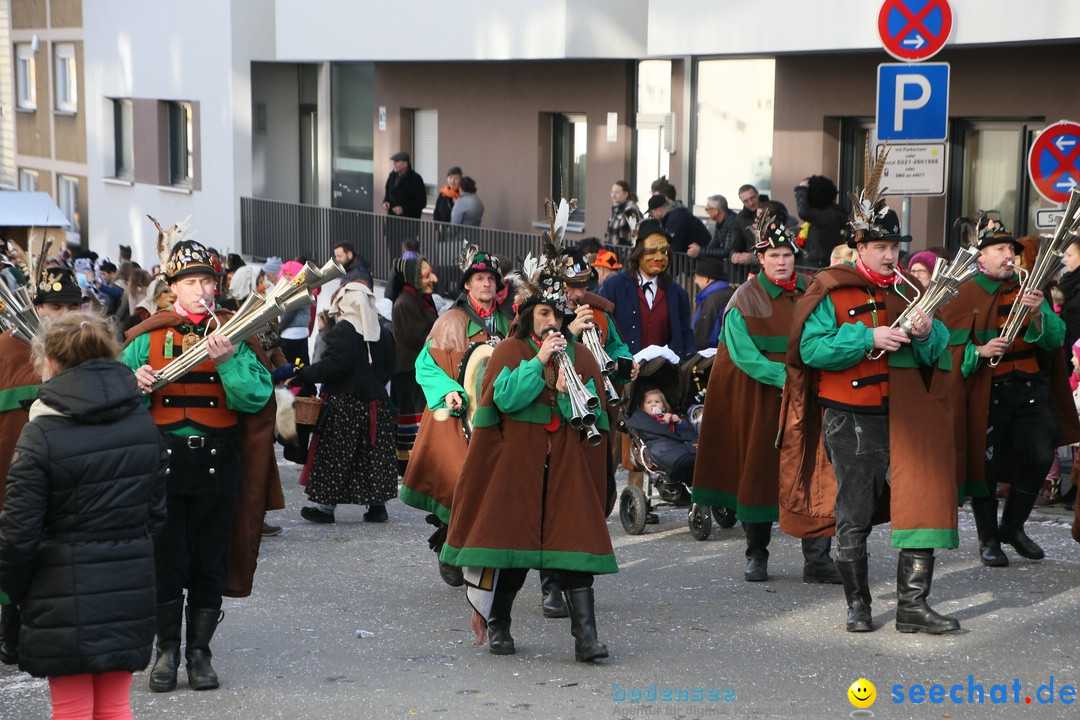 Narrenumzug: Friedrichshafen am Bodensee, 25.02.2017