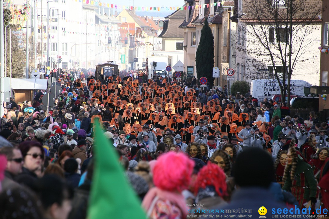 Narrenumzug: Friedrichshafen am Bodensee, 25.02.2017