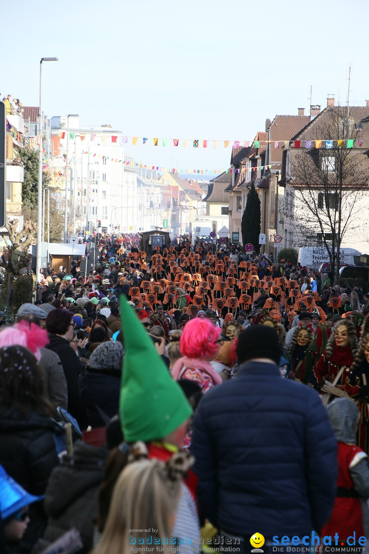 Narrenumzug: Friedrichshafen am Bodensee, 25.02.2017