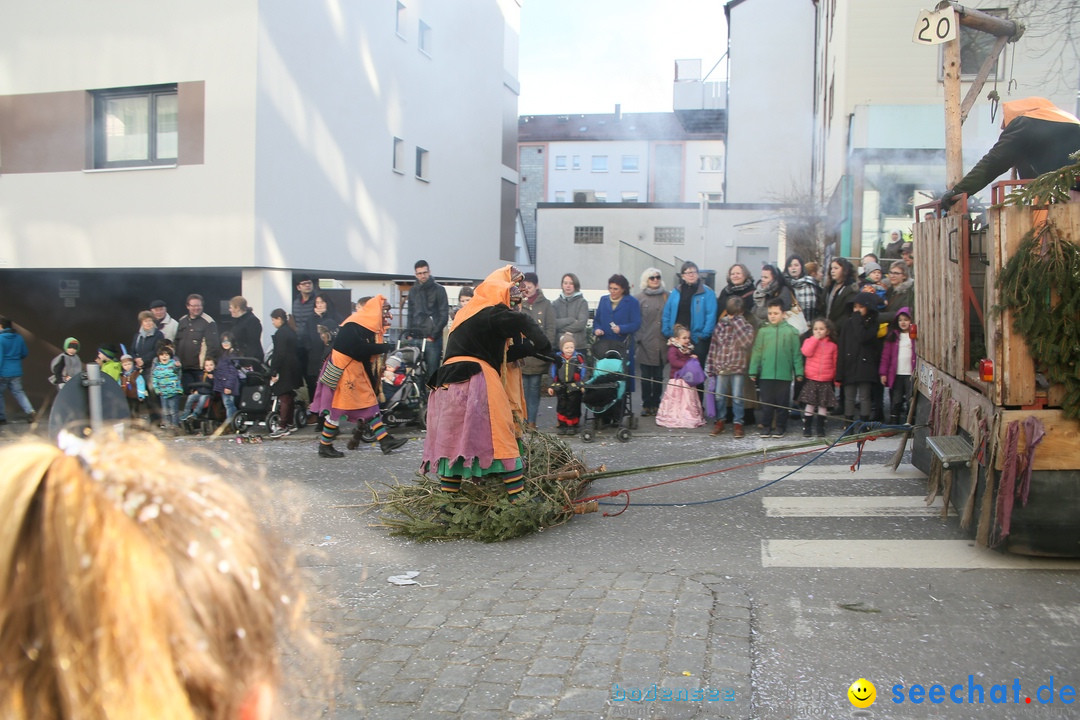 Narrenumzug: Friedrichshafen am Bodensee, 25.02.2017