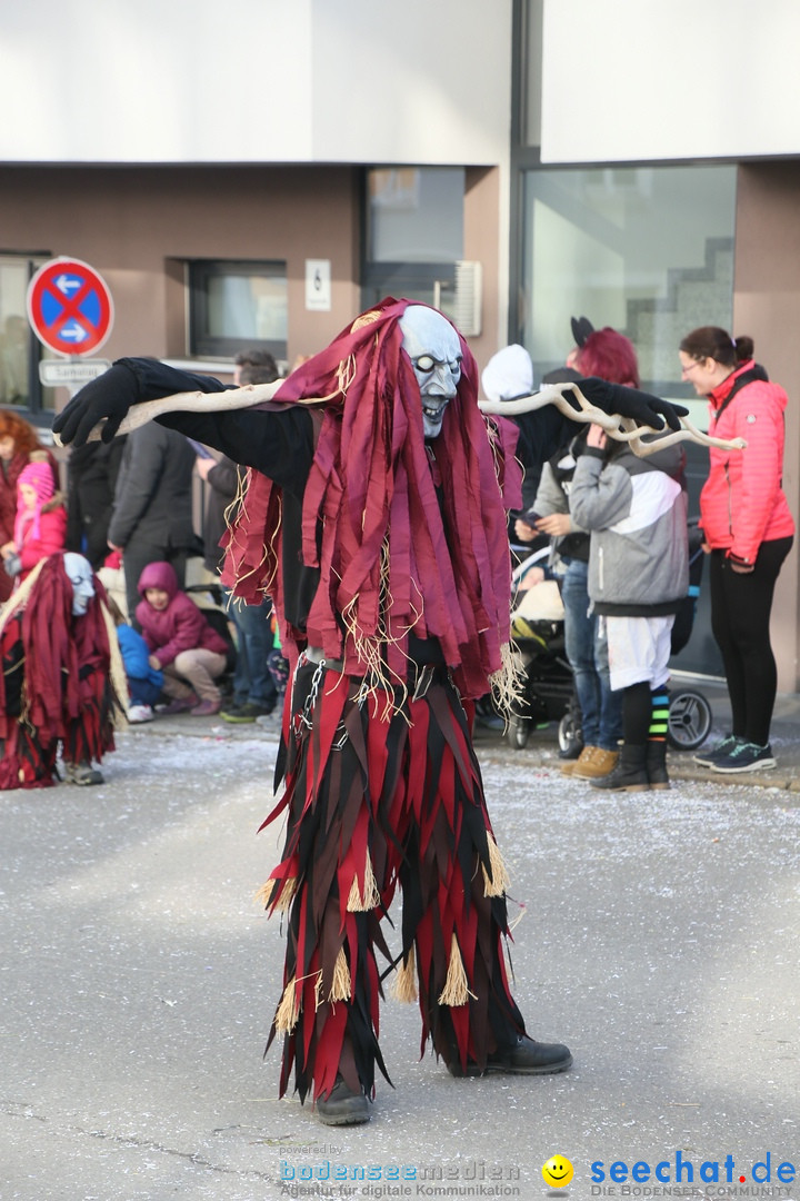 Narrenumzug: Friedrichshafen am Bodensee, 25.02.2017