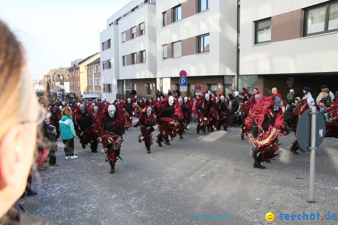 Narrenumzug: Friedrichshafen am Bodensee, 25.02.2017