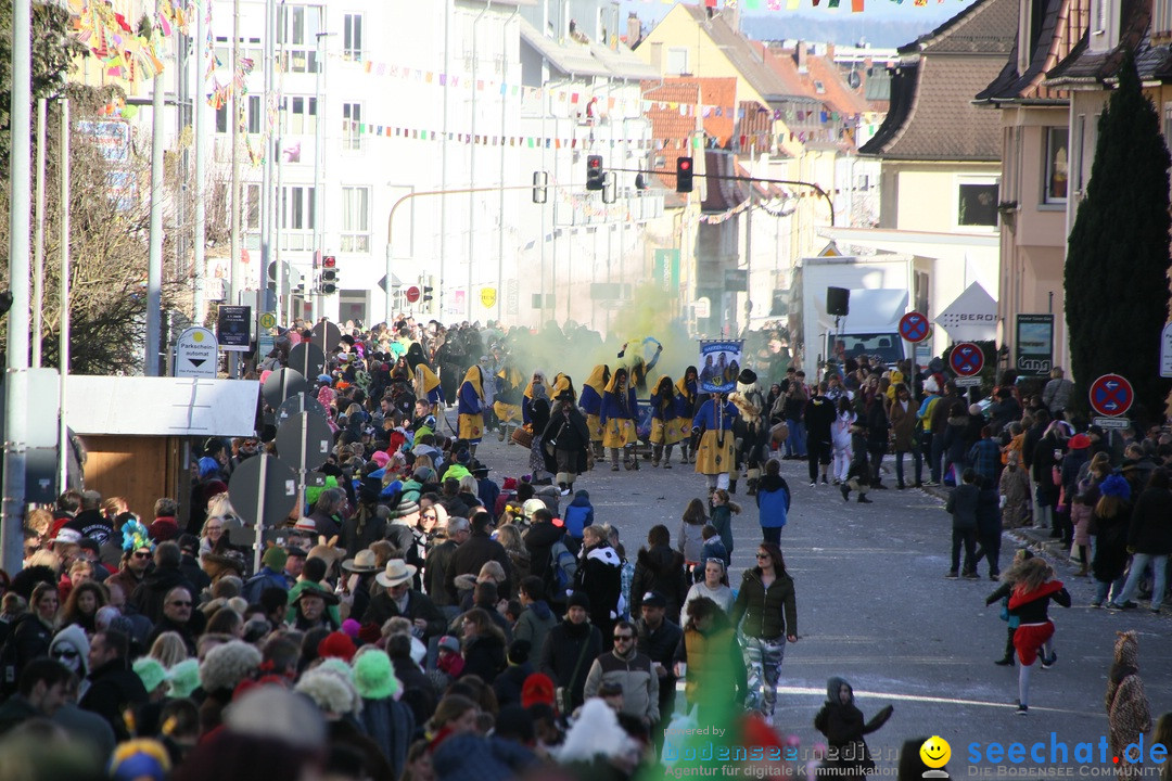 Narrenumzug: Friedrichshafen am Bodensee, 25.02.2017