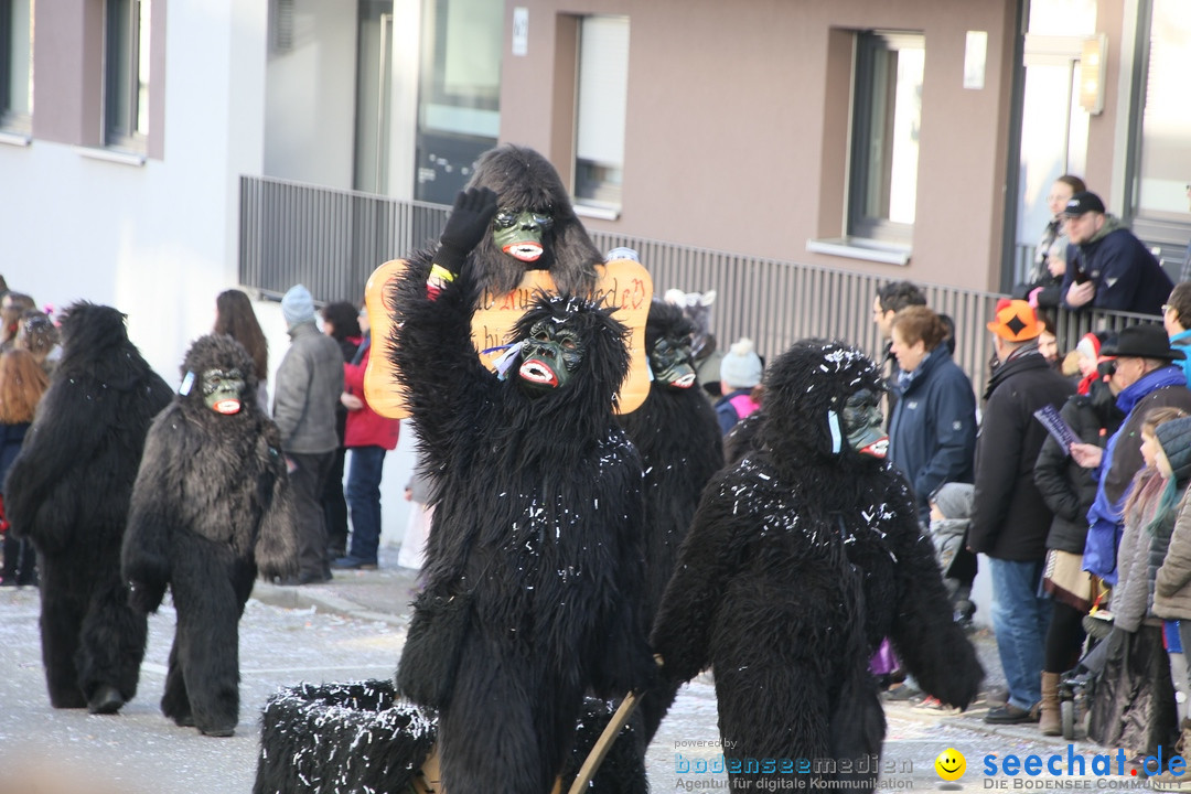 Narrenumzug: Friedrichshafen am Bodensee, 25.02.2017