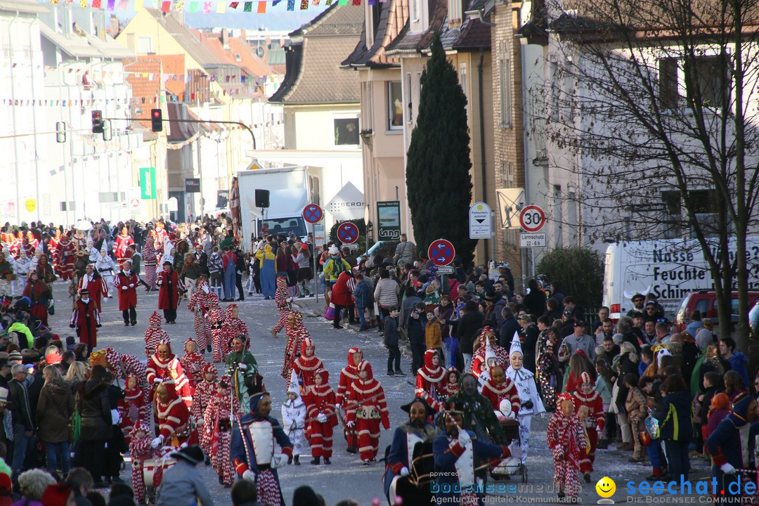 Narrenumzug: Friedrichshafen am Bodensee, 25.02.2017