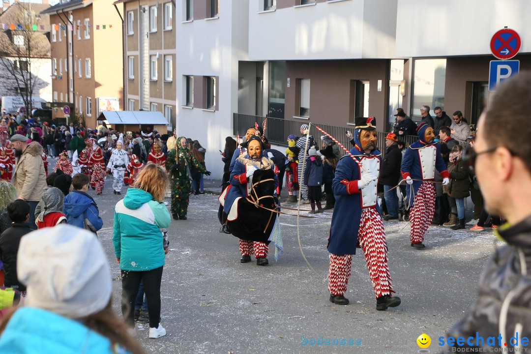 Narrenumzug: Friedrichshafen am Bodensee, 25.02.2017