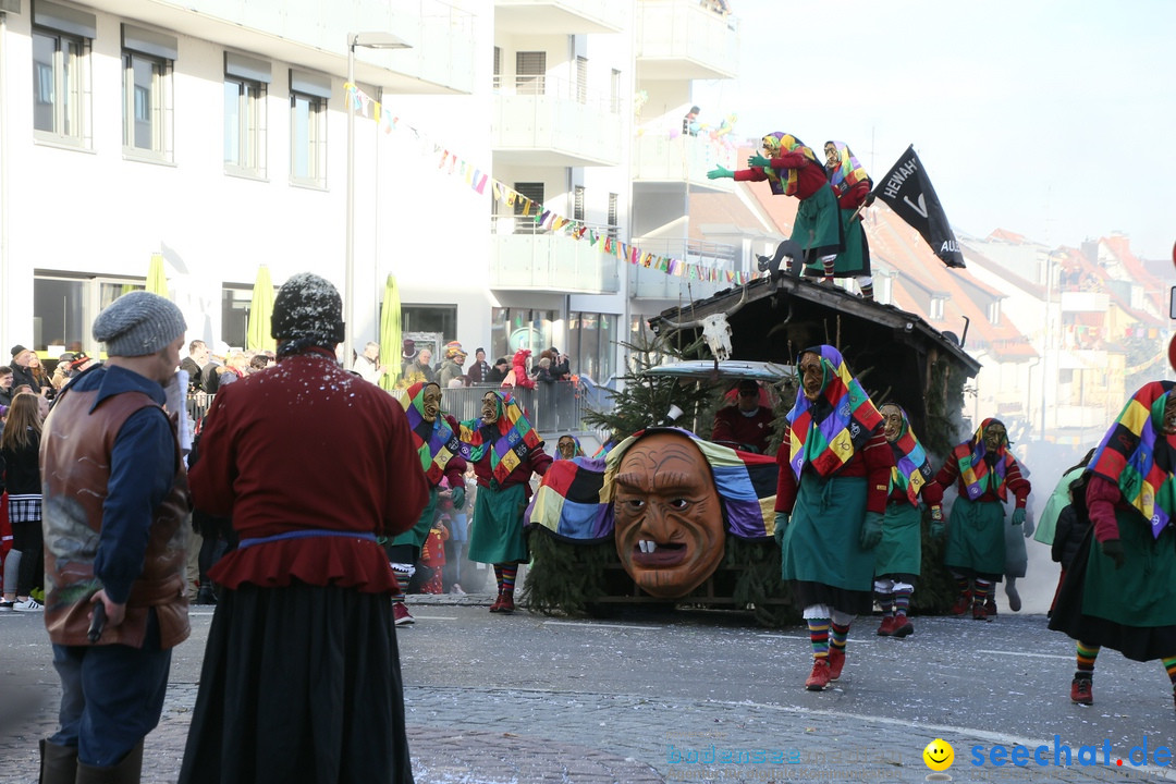 Narrenumzug: Friedrichshafen am Bodensee, 25.02.2017