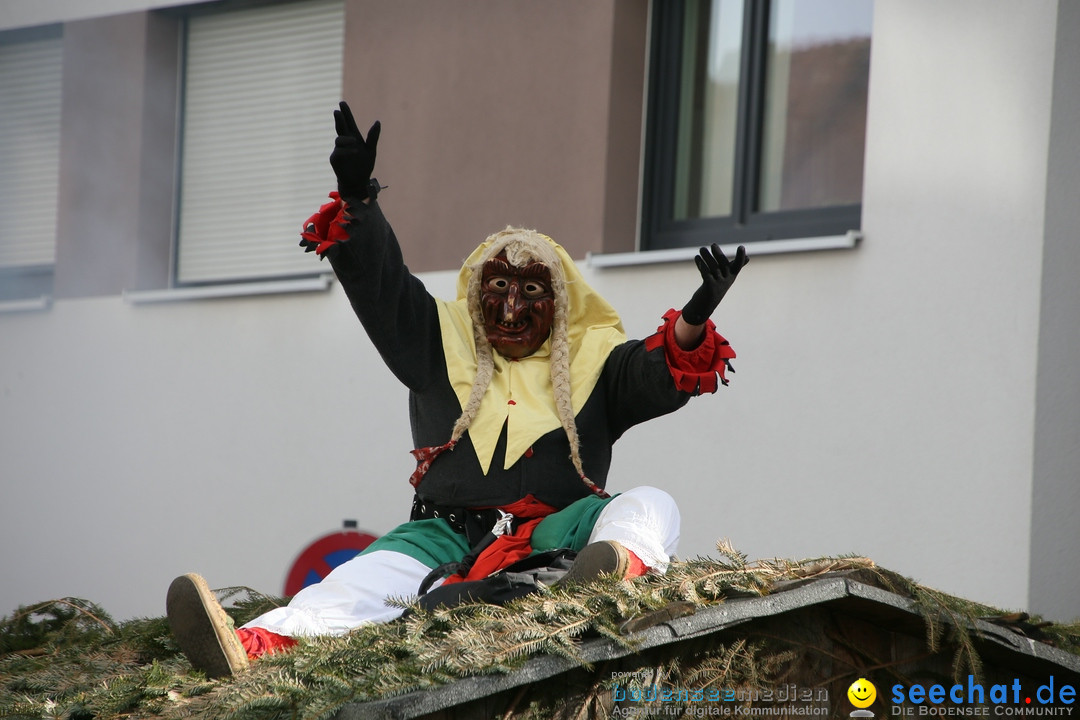 Narrenumzug: Friedrichshafen am Bodensee, 25.02.2017