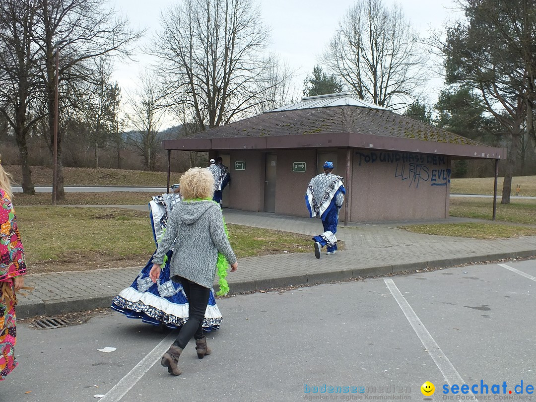 Naerrischer-Ohrwurm-Singen-2017-02-26-Bodensee-Community-_322_.JPG