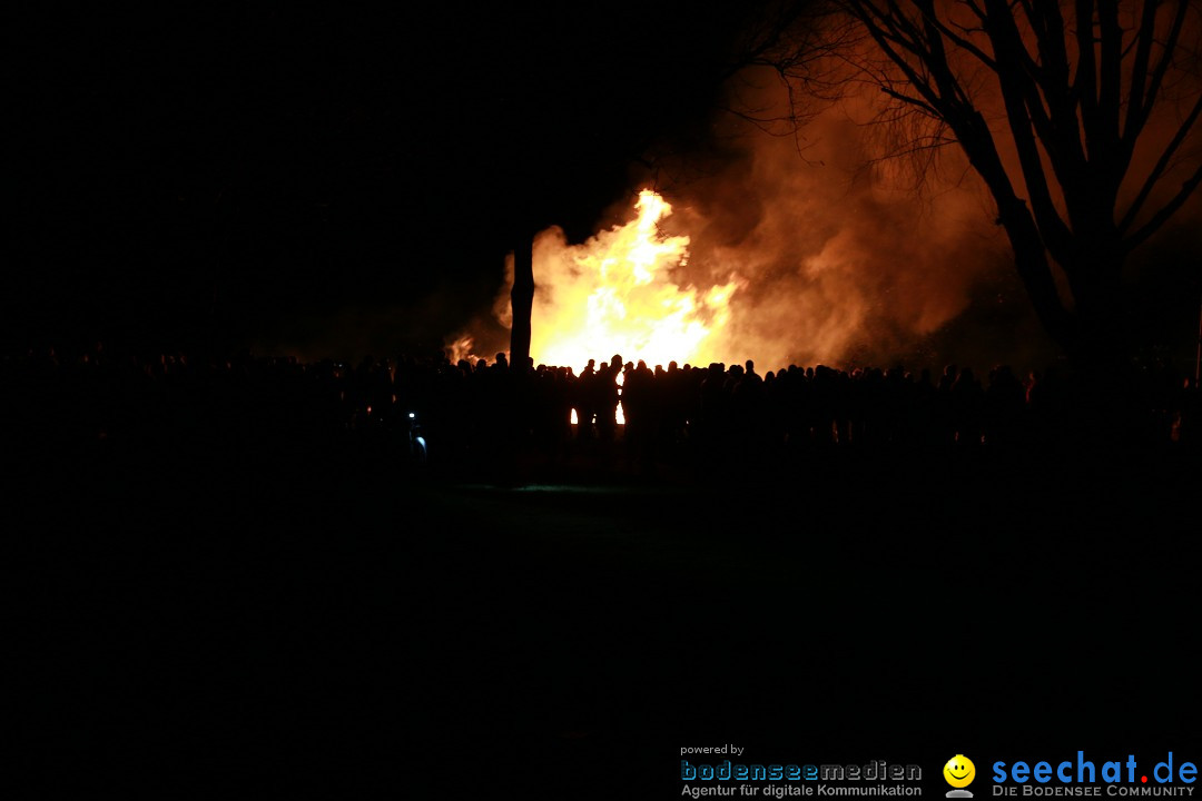 Funkenfeuer Fasnet - Unteruhldingen am Bodensee, 04.03.2017