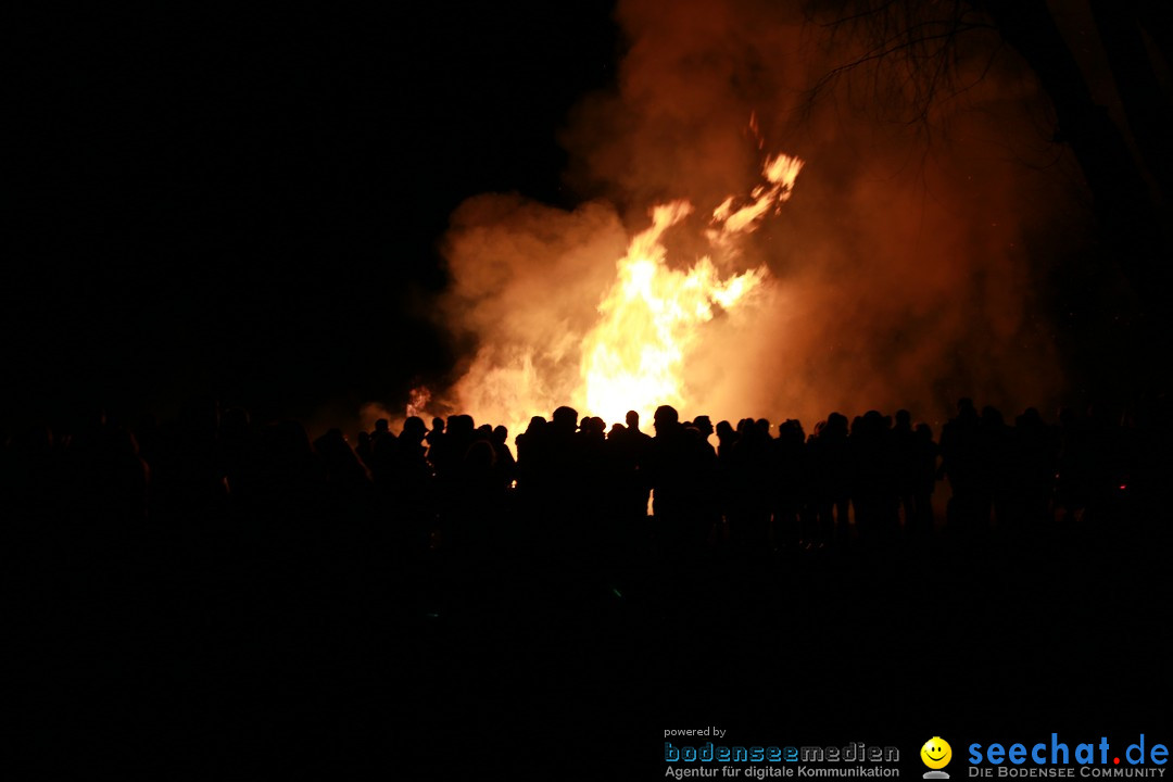 Funkenfeuer Fasnet - Unteruhldingen am Bodensee, 04.03.2017