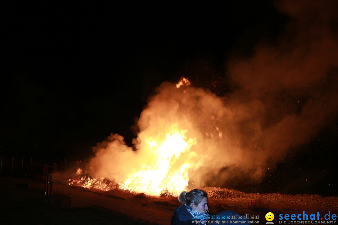 Funkenfeuer Fasnet - Unteruhldingen am Bodensee, 04.03.2017