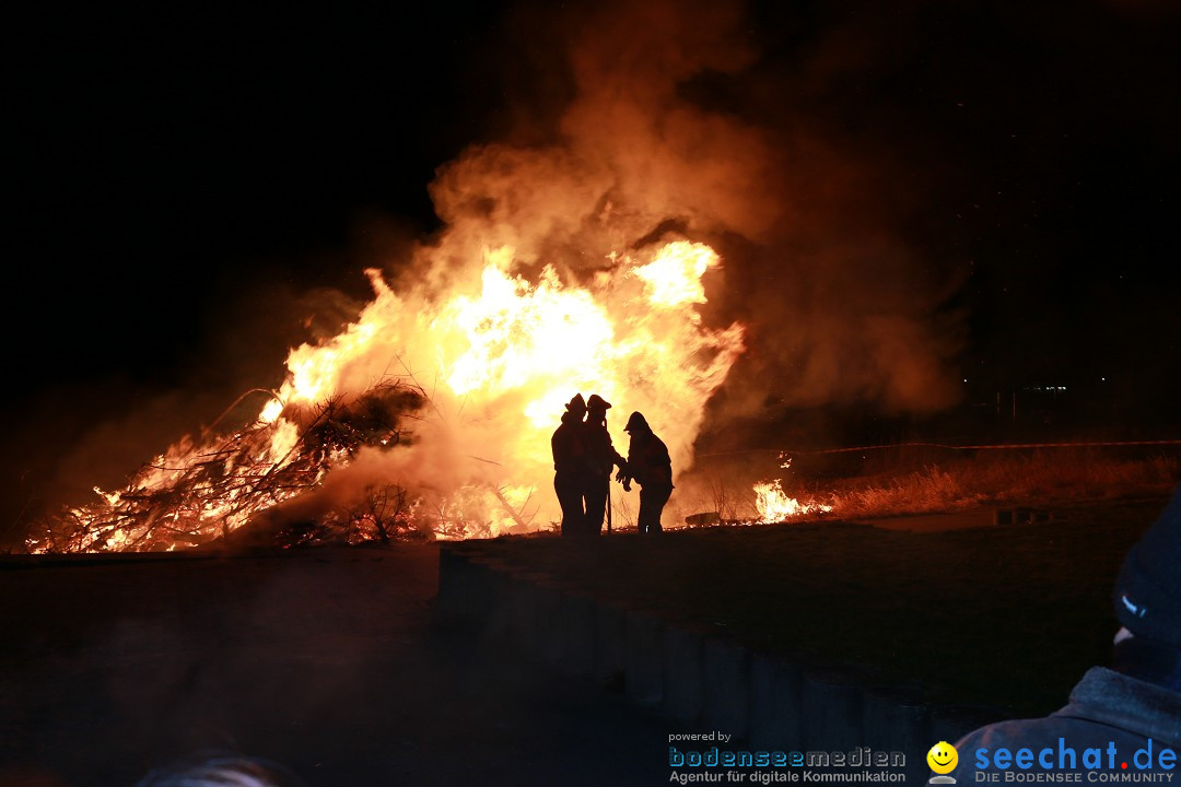 Funkenfeuer Fasnet - Unteruhldingen am Bodensee, 04.03.2017