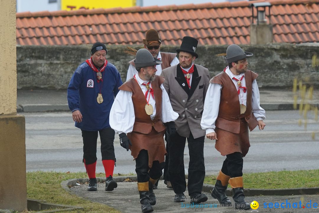 Fasnetsumzug - Fasching: Stockach am Bodensee, 28.02.2017