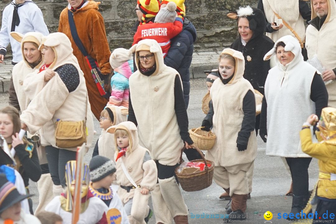 Fasnetsumzug - Fasching: Stockach am Bodensee, 28.02.2017