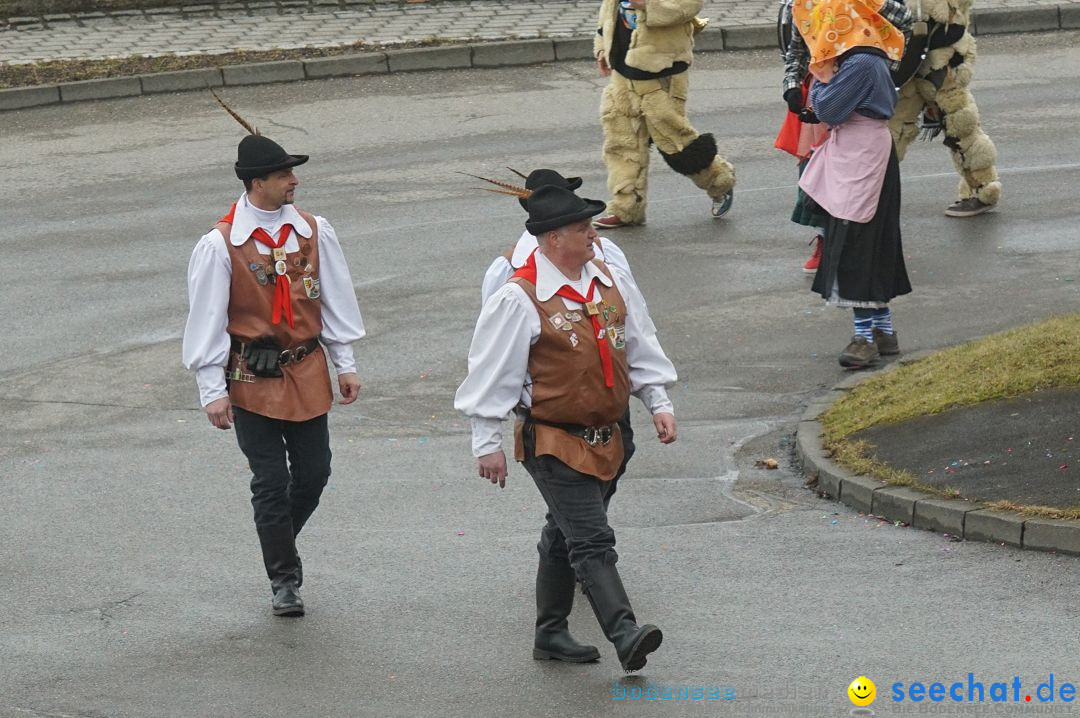 Fasnetsumzug - Fasching: Stockach am Bodensee, 28.02.2017