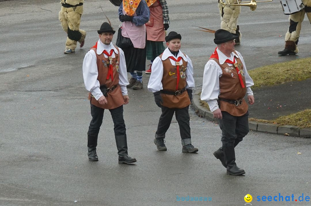 Fasnetsumzug - Fasching: Stockach am Bodensee, 28.02.2017