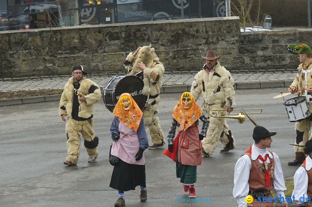 Fasnetsumzug - Fasching: Stockach am Bodensee, 28.02.2017