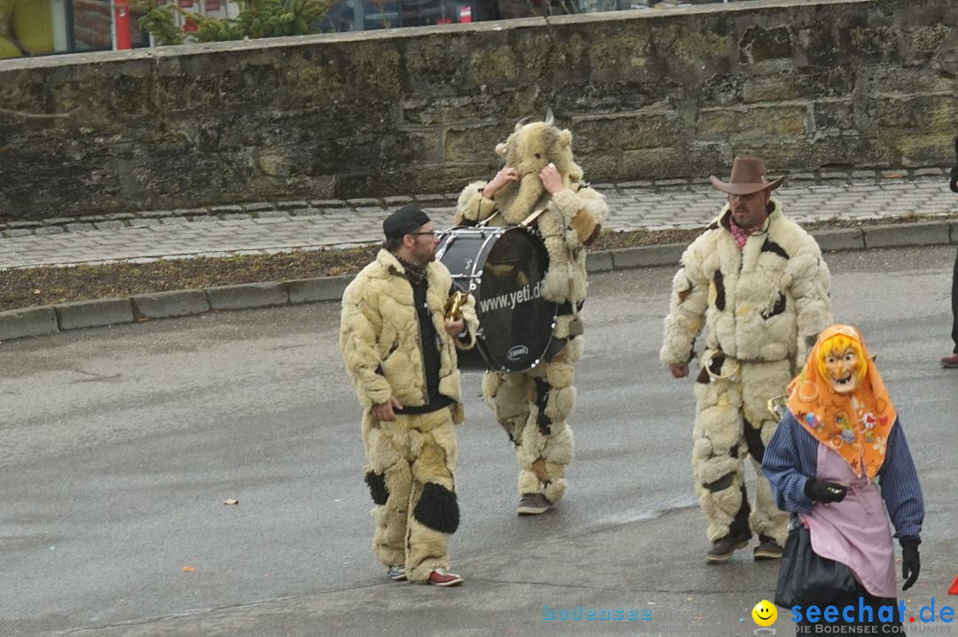 Fasnetsumzug - Fasching: Stockach am Bodensee, 28.02.2017