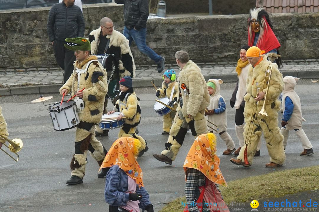 Fasnetsumzug - Fasching: Stockach am Bodensee, 28.02.2017